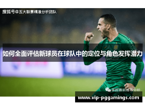 如何全面评估新球员在球队中的定位与角色发挥潜力