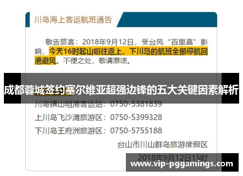 成都蓉城签约塞尔维亚超强边锋的五大关键因素解析
