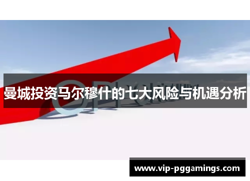 曼城投资马尔穆什的七大风险与机遇分析