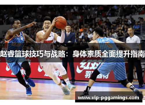 赵睿篮球技巧与战略：身体素质全面提升指南