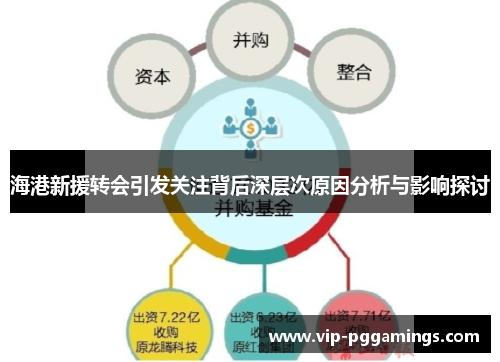 海港新援转会引发关注背后深层次原因分析与影响探讨