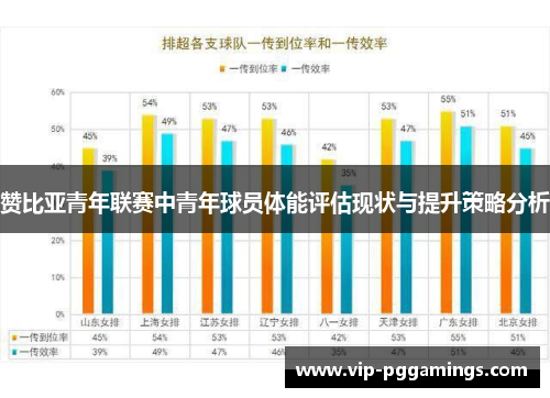 赞比亚青年联赛中青年球员体能评估现状与提升策略分析