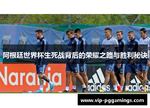 阿根廷世界杯生死战背后的荣耀之路与胜利秘诀 阿根廷世界杯生死战背后的荣耀之路与胜利秘诀