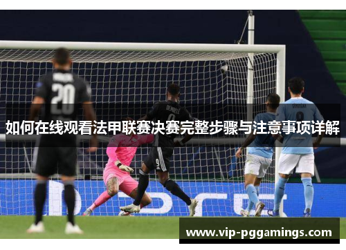 如何在线观看法甲联赛决赛完整步骤与注意事项详解 如何在线观看法甲联赛决赛完整步骤与注意事项详解