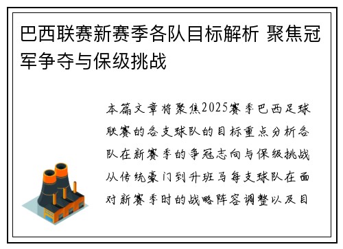 巴西联赛新赛季各队目标解析 聚焦冠军争夺与保级挑战